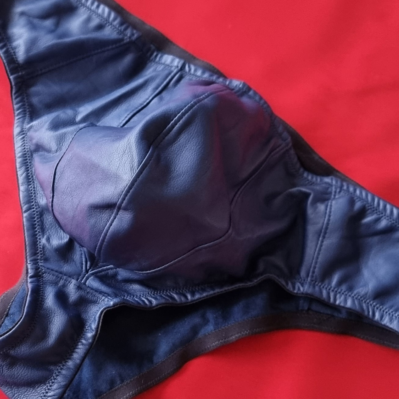 Men's Fitted Pouch Briefs  30 Indigo with black edge