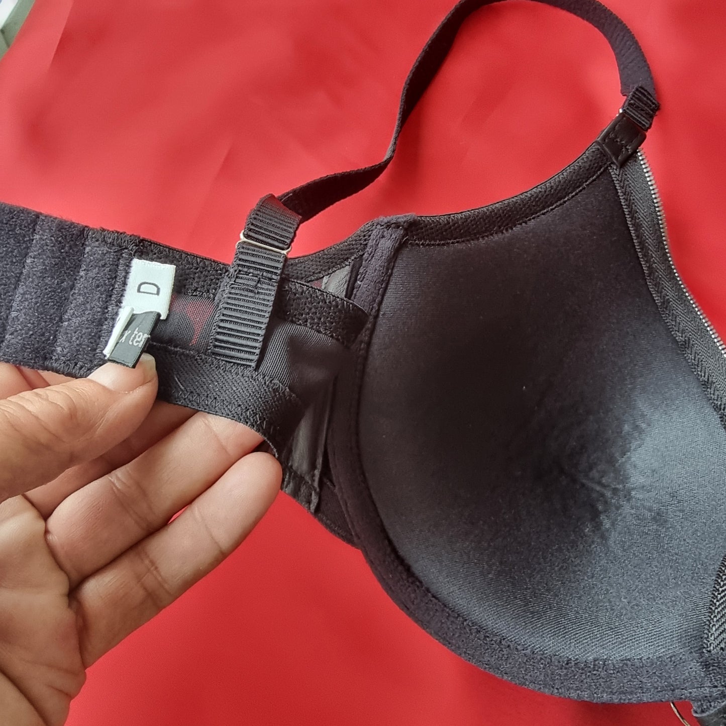 Trinity zip sumise-32B to 40H cup