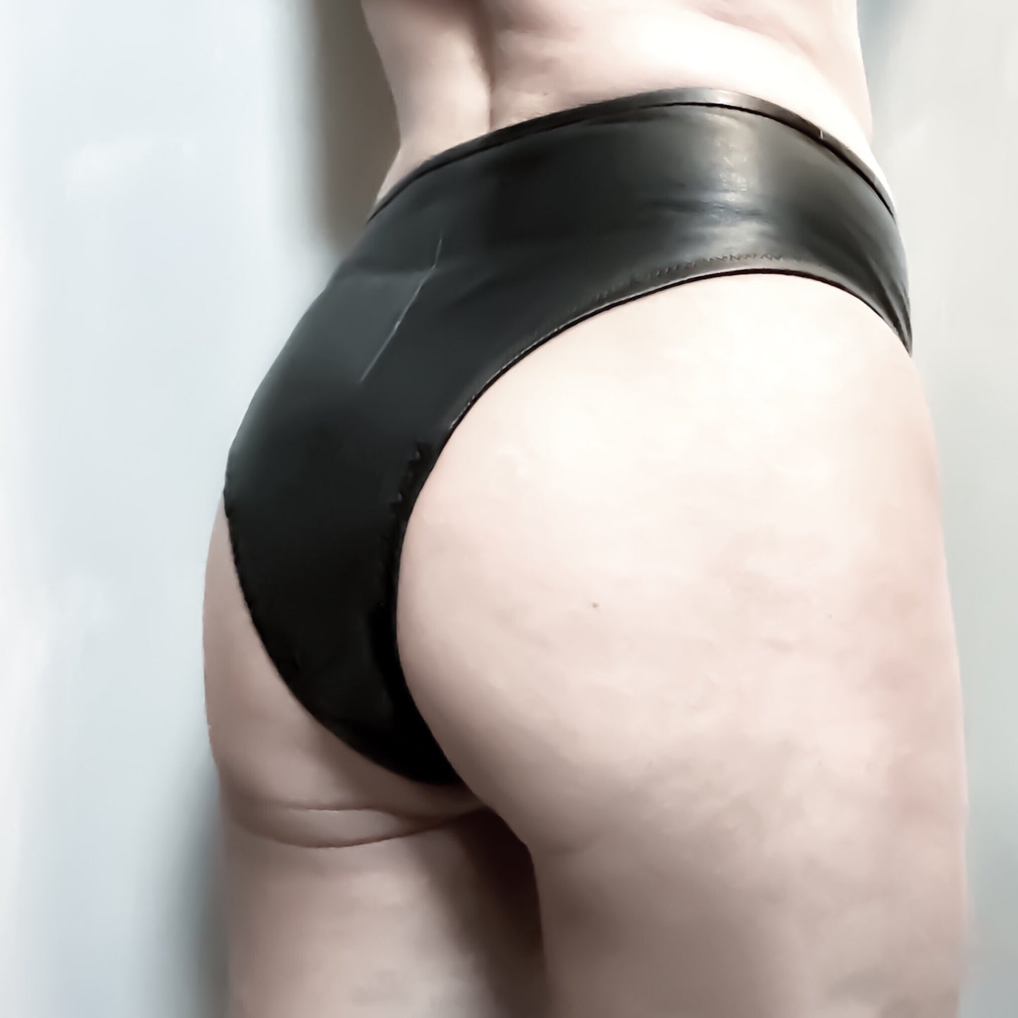High Waisted Brief